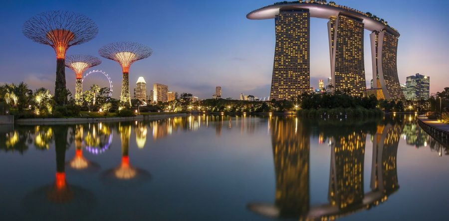 Software Development